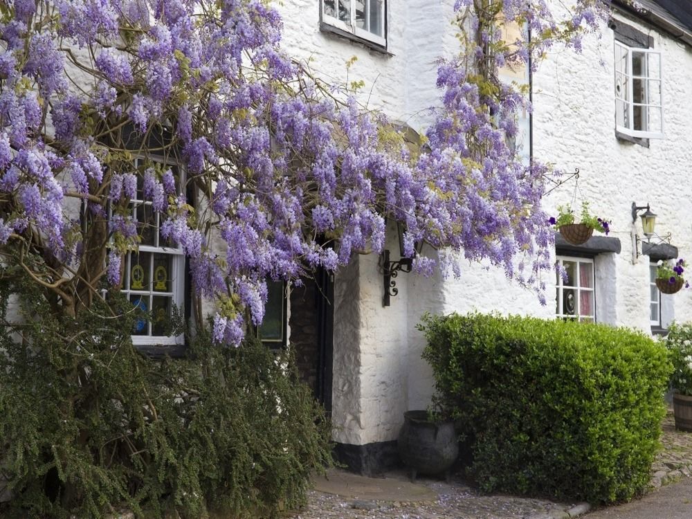 Old Church House Inn 牛顿阿伯特 外观 照片